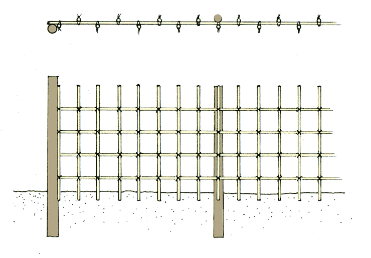 schematische Darstellung für Bambuszaun