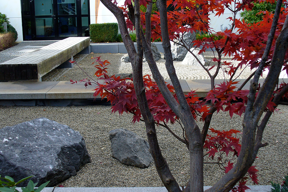 moderner japanischer Garten