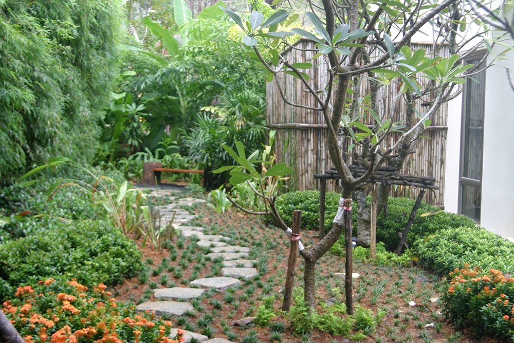 courtyard garden in thailand