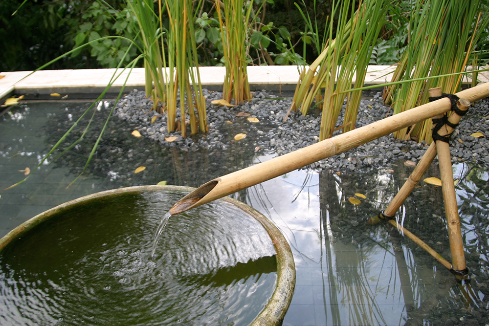 water feature in a pond