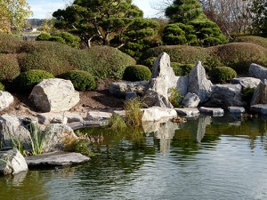 Koiteich im japanischen Garten in Bartschendorf